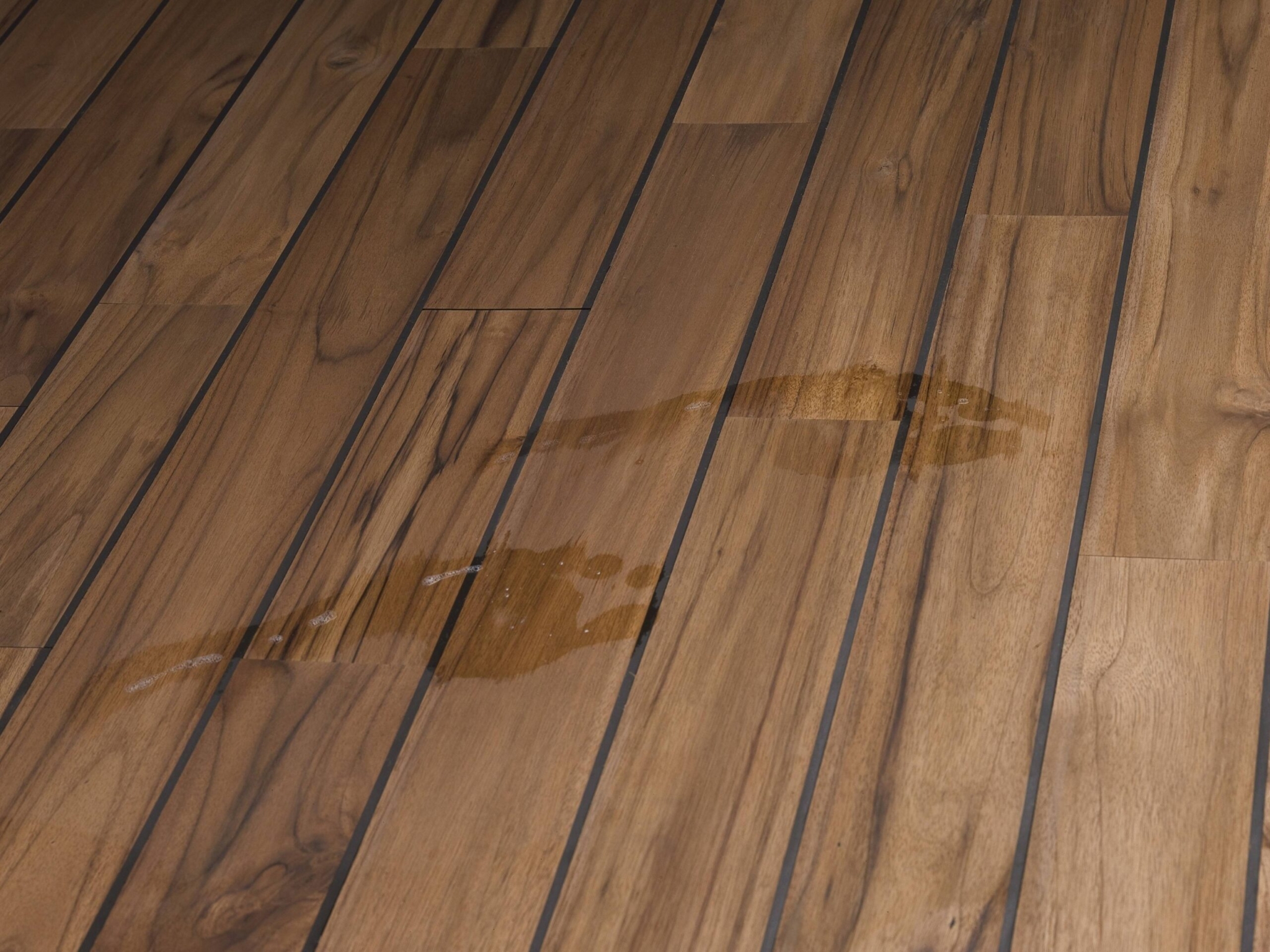 Parquet Noirci Par Pipi De Chien